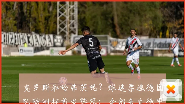 克罗斯和哈弗茨呢？球迷票选德国队欧洲杯首发阵容：全部来自德甲