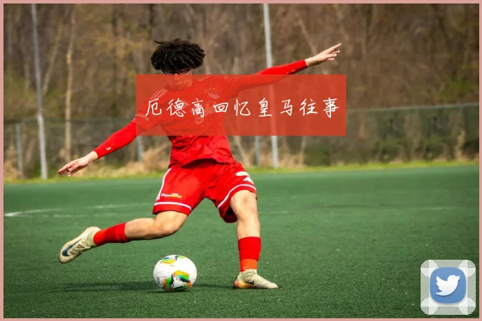 厄德高回忆皇马往事