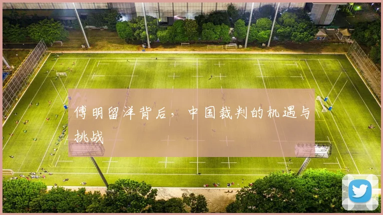 傅明留洋背后，中国裁判的机遇与挑战